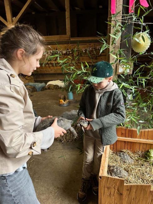 sonnenland_programm2